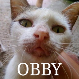 The easiest obby EVER!