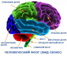 Найди монетку