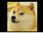 Doge Developing Studio