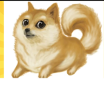 Doge place