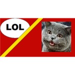 The Lolcats 2016