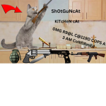 Kitchen Cat Bomber