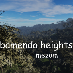 Bamenda Heights