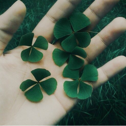 🍀