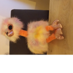 Ty Beanie Boos May