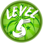 Level 5