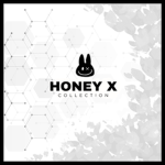 honey X | collection