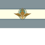 [AR] Armed Forces of the Argentine Republic