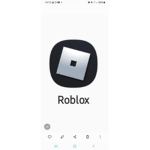 Roblox Fans nicht echt