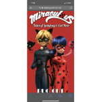 Ladybug and cat noir team