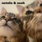 natalieissoamazing