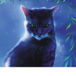 Warrior Cats Group!!!