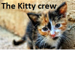 the kitty crew YT