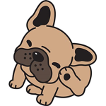 Frenchie's Galore!