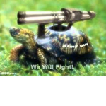 Sassy and destructive turtles