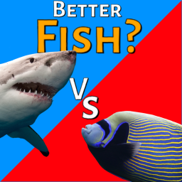 🪸🐠Better fish?🐠🪸 icon