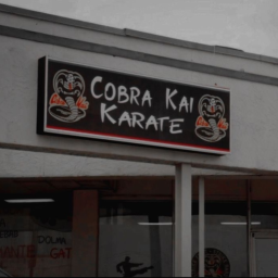 🥋👊🏼