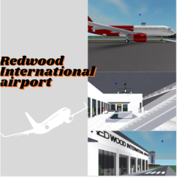 Redwood International Airport