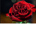 ~THE ROSE FAM~