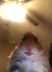 E_E_E_E_E