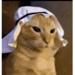 Arabs with cats