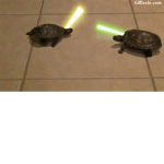 Anime Clan.