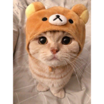 Bad_gir