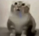 11:25