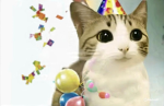 Cat cat 2!