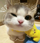 kawai!!!