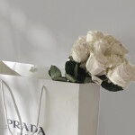  ✧･ﾟ: *✧･ﾟ:*