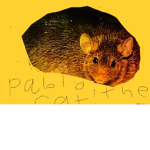 Pablo the rat!