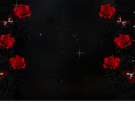 ~Rose-Aesthetics~