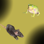 Frog Tea