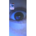 Chelseyduhh
