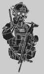 Forward observations group [E-91]