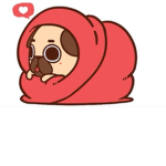 the pugs of youth