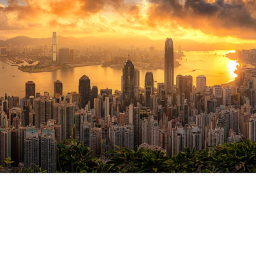 City Life.
