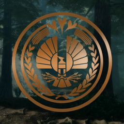 71st Annual Hunger Games