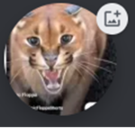 Harper's Roblox Team
