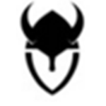 The Vikingz