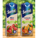 Santal Organization