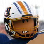 [LLF] Little League Football