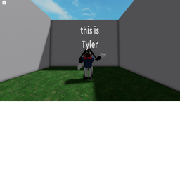 Tyler Story