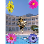 Flower Inn