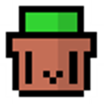 Cacti-Craft Crew