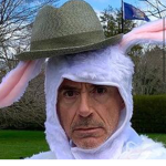 Robert Downey Jr ROBUXX GROUP