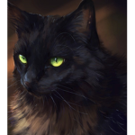 [ WC UE] Staff + Applications
