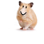 Hamster Epic stuidos