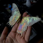 ~pink butterfly club~